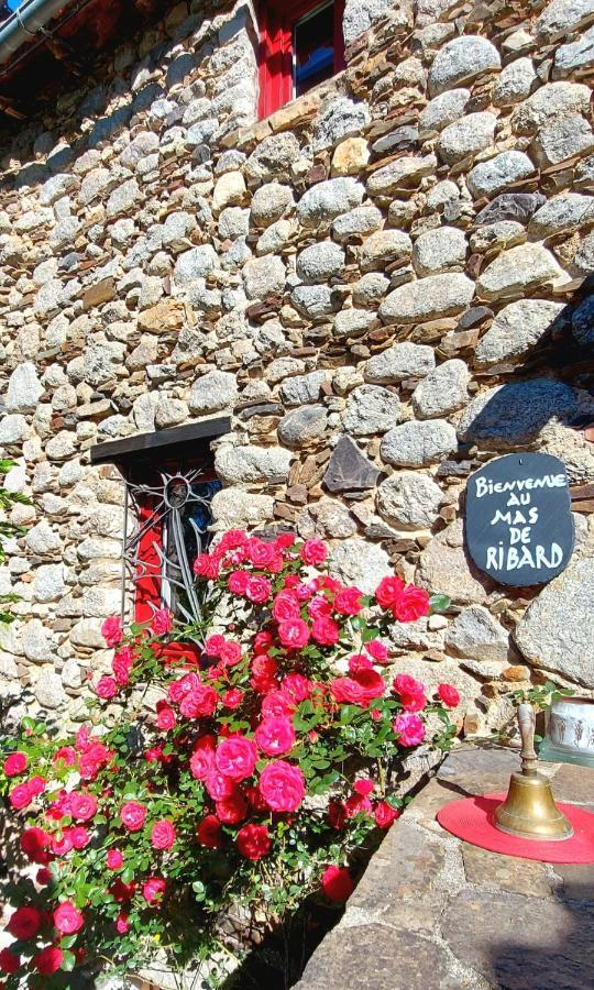Le Mas De Ribard Bréau-et-Salagosse Eksteriør bilde